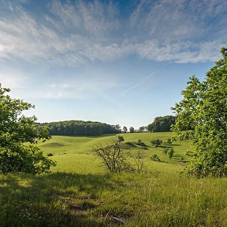 Nengshof Ferienhaus Gaensebluemchen Wißmannsdorf Exteriör bild